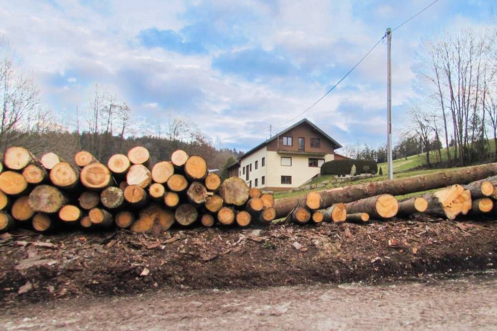 Stefan Hinterberger Sägewerk