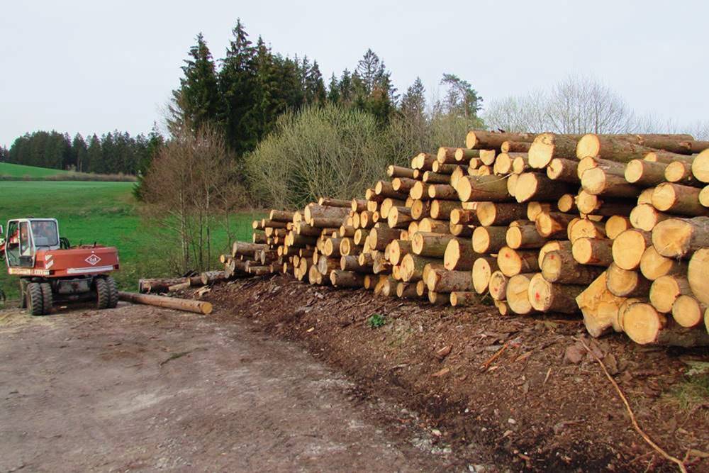Stefan Hinterberger Sägewerk